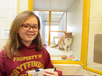 young girl wearing glasses next to ginger and white cat in an adoption centre