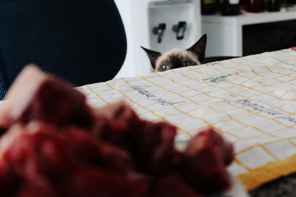 brown cat looking over table at plate of meat