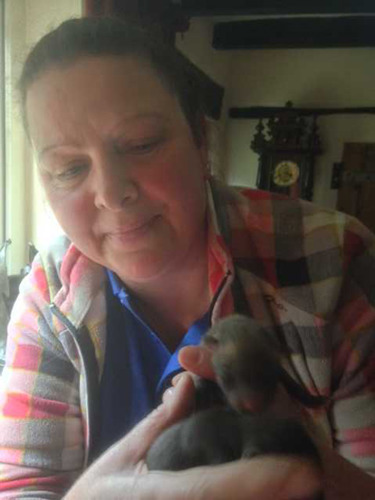 Cats Protection volunteer Jane Baynton holding fox cubs