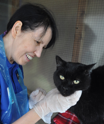 cats protection volunteer with black cat