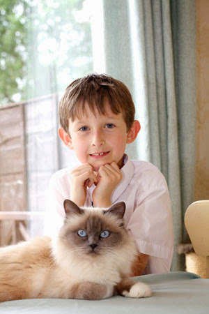 grey cat with little boy
