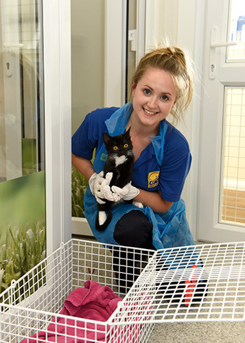 blonde woman holding black cat in Cats Protection homing centre