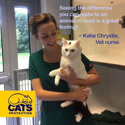 female vet nurse holding a white cat