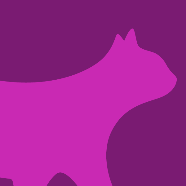 Essential guides | Cats Protection