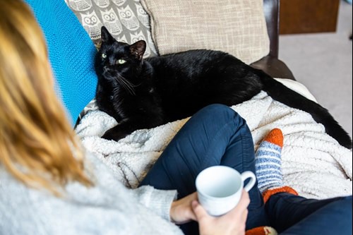 black cat lying on sofa looking at human sat cross-legged in the foreground with long blonde hair and holding a mug