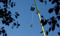 Berkshire Bungee Jump 2025