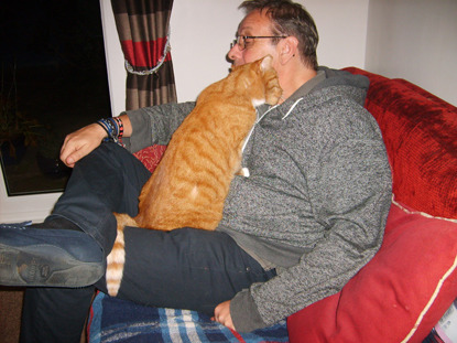 ginger cat rubbing its head on man's cheek