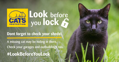 look before you lock sheds graphic