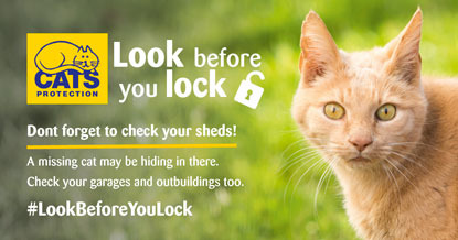Look before you lock ad with ginger cat