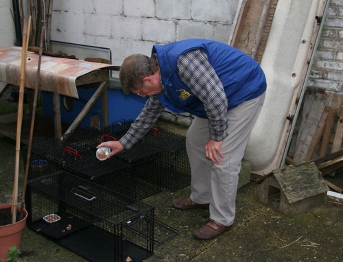Cats Protection volunteer preparing a feral cat trap