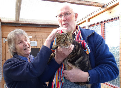 elderly couple holding and stroking a tabby cat in a cat pen