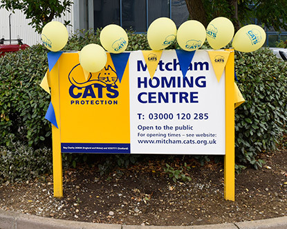 Mitcham Homing Centre sign decorated with Cats Protection balloons and bunting