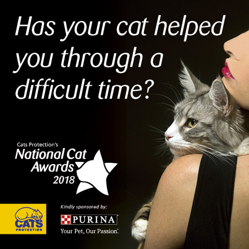 National Cat Awards 2018 Most Caring Cat graphic