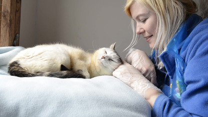white cat getting ear strokes from blonde lady