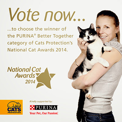 National Cat Awards 2014: Purina Better Together graphic