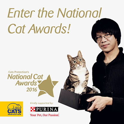 National Cat Awards 2016 graphic