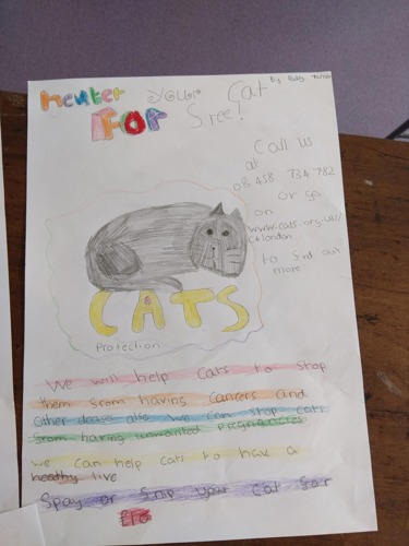 neuter your cats poster drawn by child