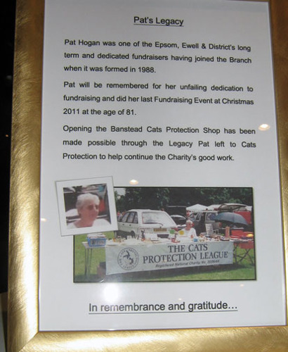 remembrance notice about Cats Protection volunteer