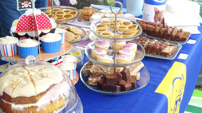 Cats Protection fundraising table filled with cakes, cupcakes and biscuits