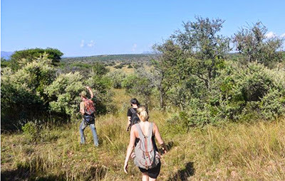 group walking though fields in Namibia in southern Africa