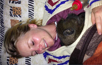 Carley Stenson sleeping with an orphaned baboon