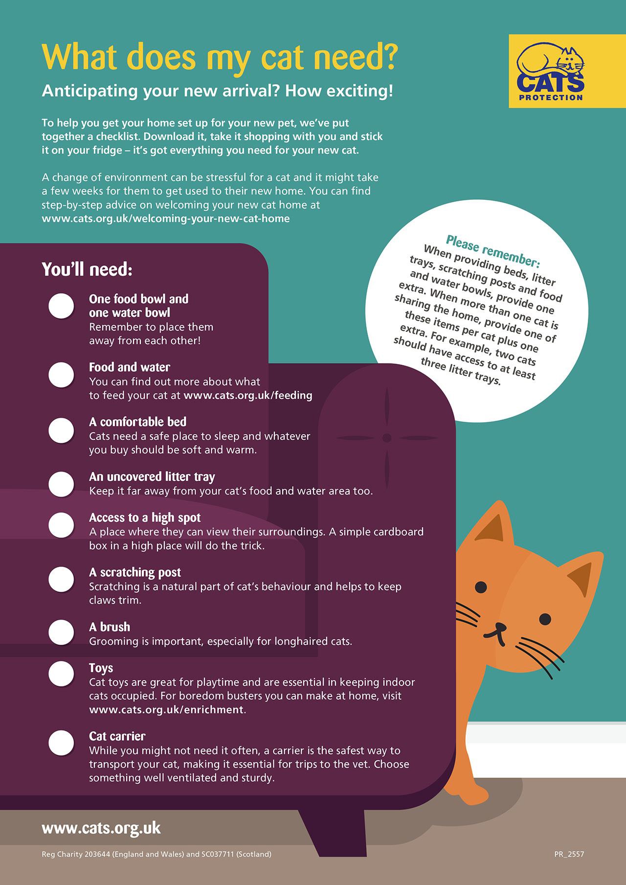 Adopting a cat checklist