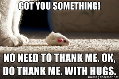 White cat legs with white toy mouse meme