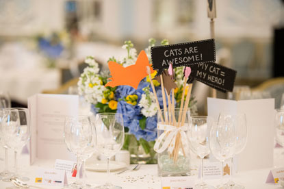 decorated table centrepiece with cat themed props