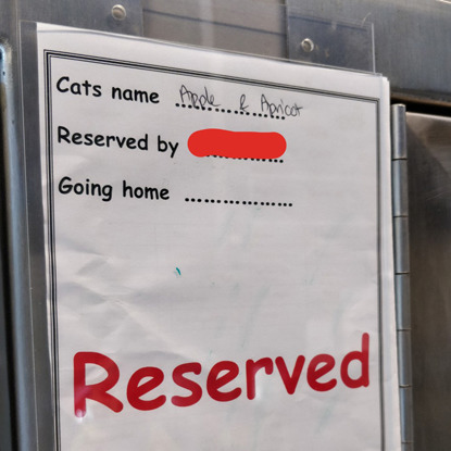 Cat adoption centre reserved sign