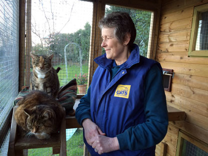 Woman in Cats Protection fleece with two tabby cats in an outdoor pen