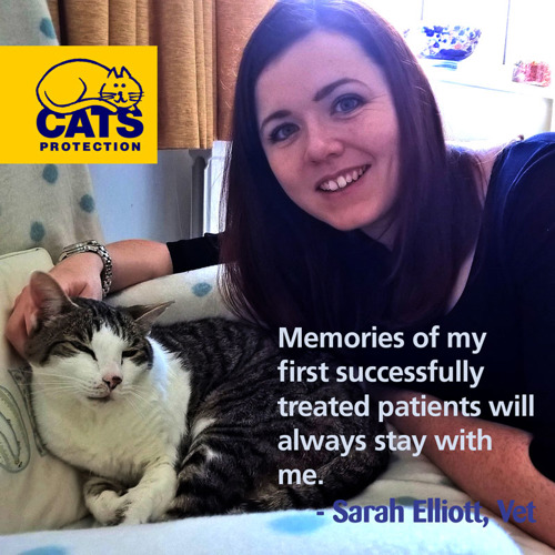 Sarah Elliott, vet, with her tabby and white cat