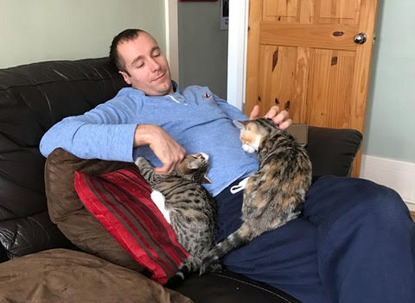 two tabby cats on man's lap