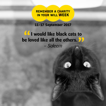 Remember a Charity Week graphic 2017 – black cat