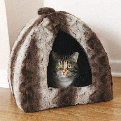 plush cat bed