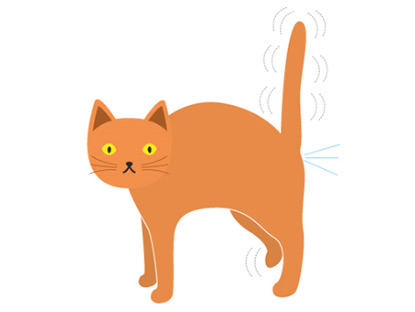graphic of ginger cat spraying