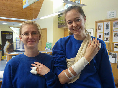 Cats Protection staff with arm and hand injuries