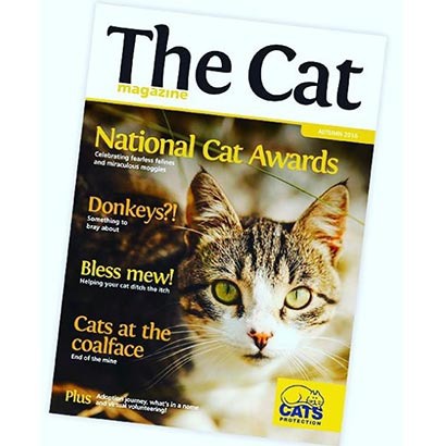 The Cat magazine
