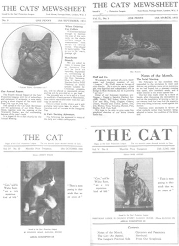 covers of The Cats' Mews-sheet and The Cat magazine from 1930s