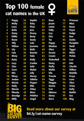 list of top 100 female cat names