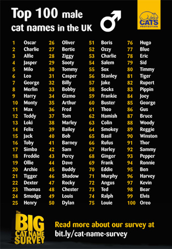 list of top 100 male cat names