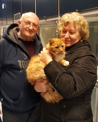man and woman holding ginger cat in adoption centre