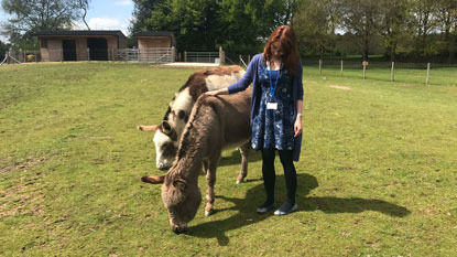 brunette woman with two donkeys in a field