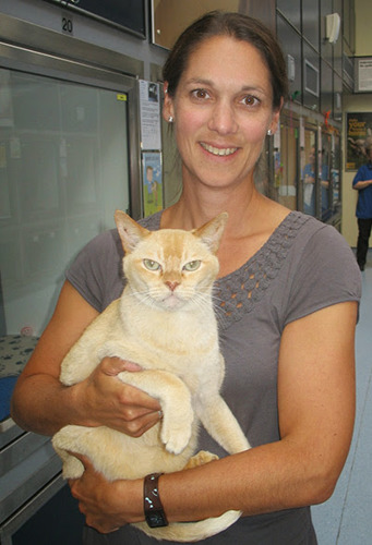 Vet Vanessa Howie in a Cats Protection adoption centre