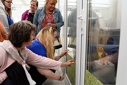 Cats Protection visitors looking at cat in pen