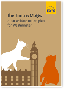 The Time is Meow Manifesto thumbnail