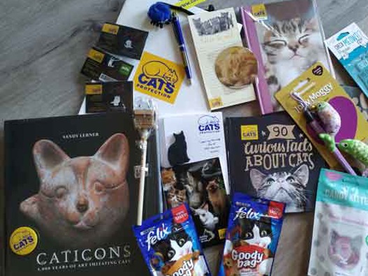 Press Releases Cats Protection