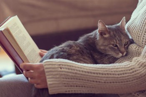 Top books for cat-lovers