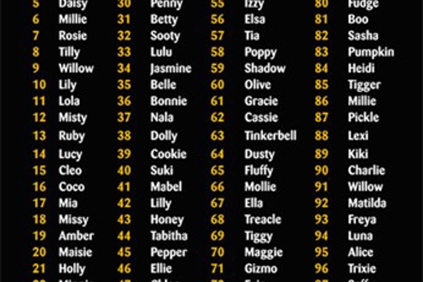 Top Cat Names Revealed In Cats Protection Survey Top Cat Names Revealed In Cats Protection Survey