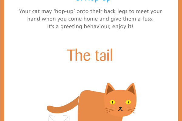 Blog post image