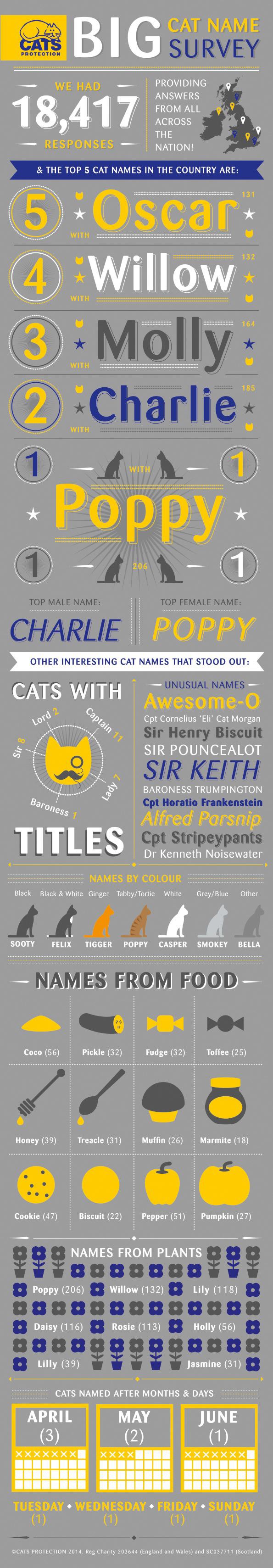 graphic of popular cat names 